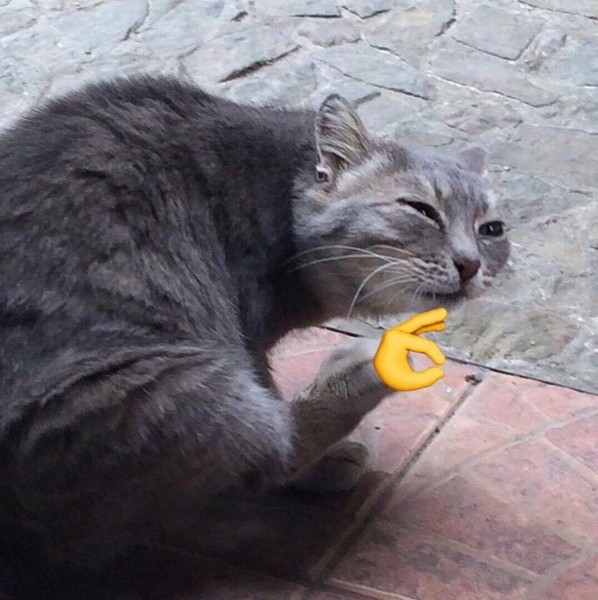 ДТ