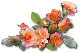 Image18 (261x175, 82Kb)