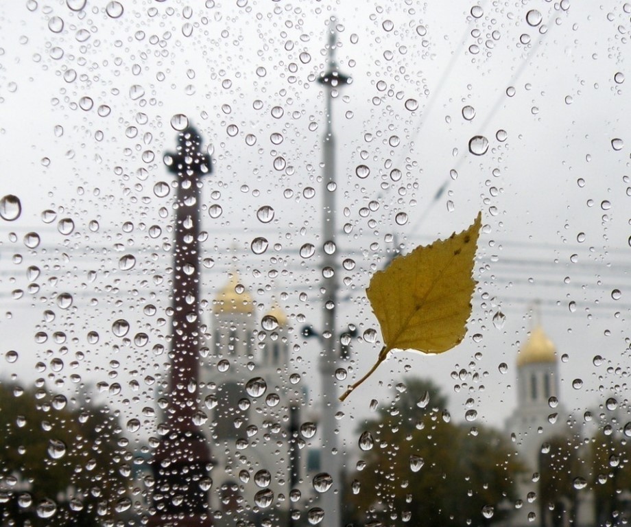 Дожде сен. Осенний дождь. Осень дождь. Дождь за окном в городе. Дождь в городе.